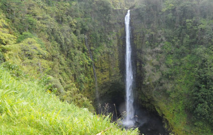 Akaka Falls State Park