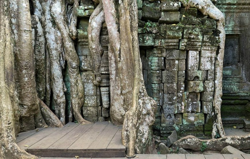 Angkor cambodia