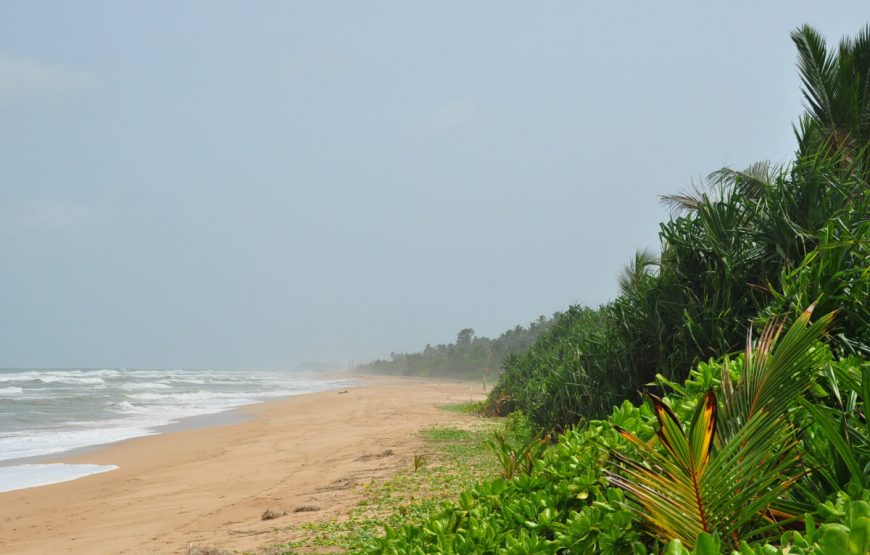 Bentota beach srilanka tour package