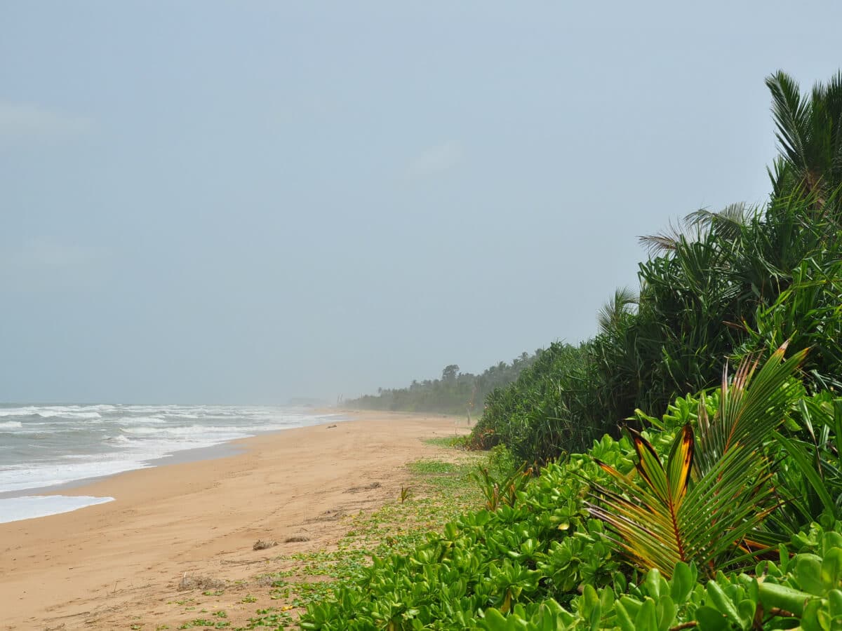 Bentota beach srilanka tour package