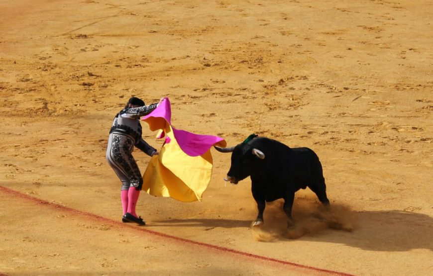 Bull Fighting Seville holiday packages