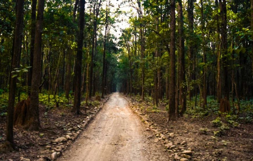 Corbett National Park