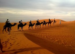 Desert Safari dubai