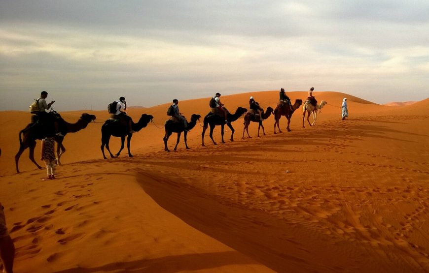 Desert Safari dubai