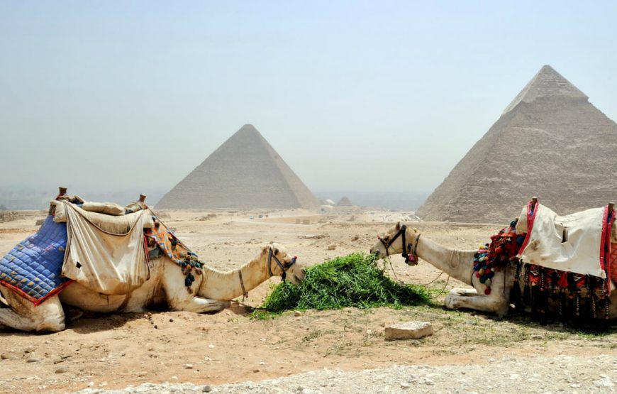 Egypt international family trip packages