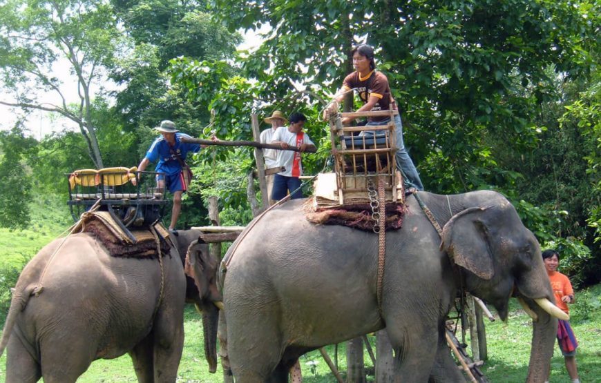Elephant ride tour and travel packages