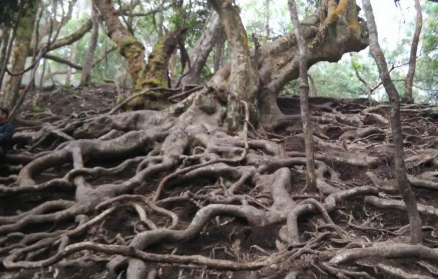 Guna cave at kodaikanal