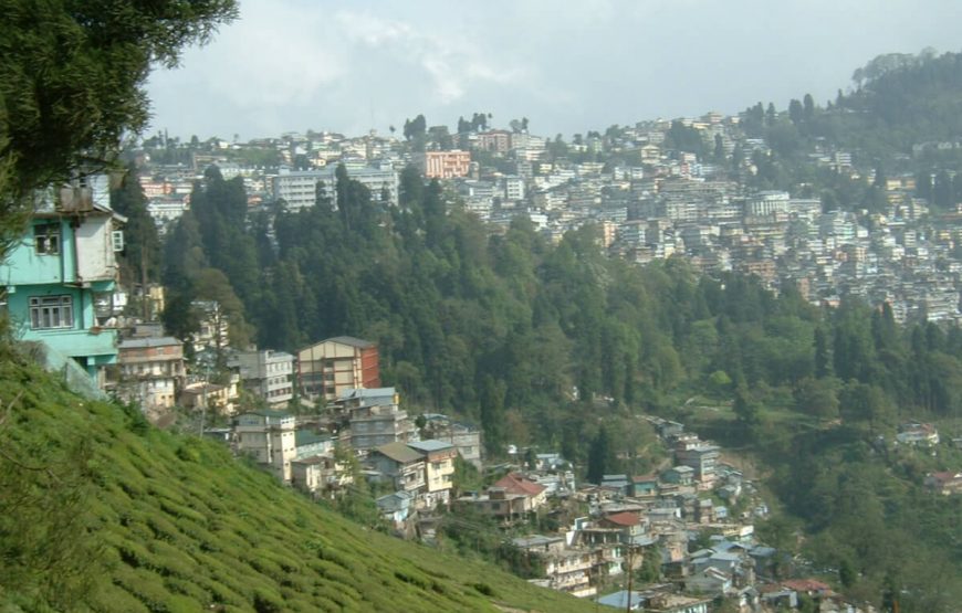 Kalimpong tour package