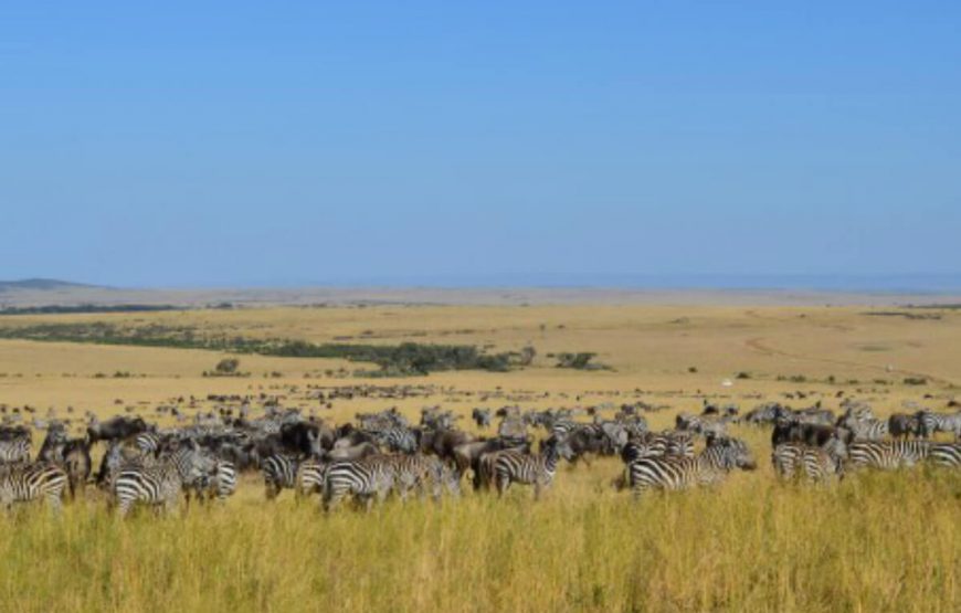 Kenya family travel packages