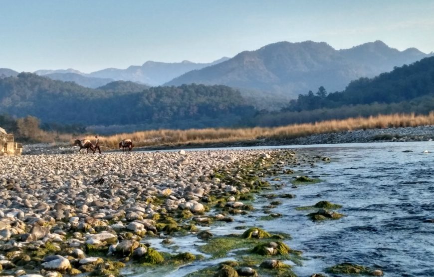 Kosi River Corbett National Park