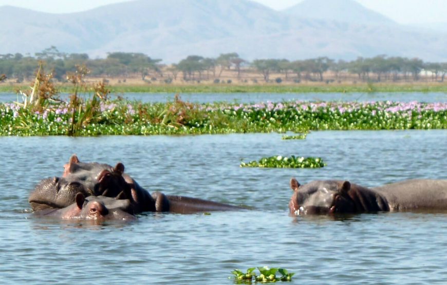 Lake Naivasha tour packages