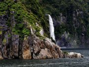 Milfordsound waterfall holiday trips