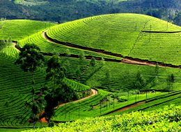 Munnar Educational Trip Package with GT Holidays