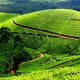 Munnar holiday packages