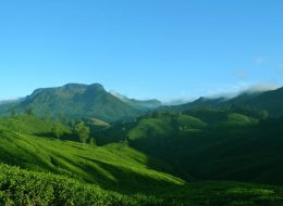 Munnar honeymoon packages