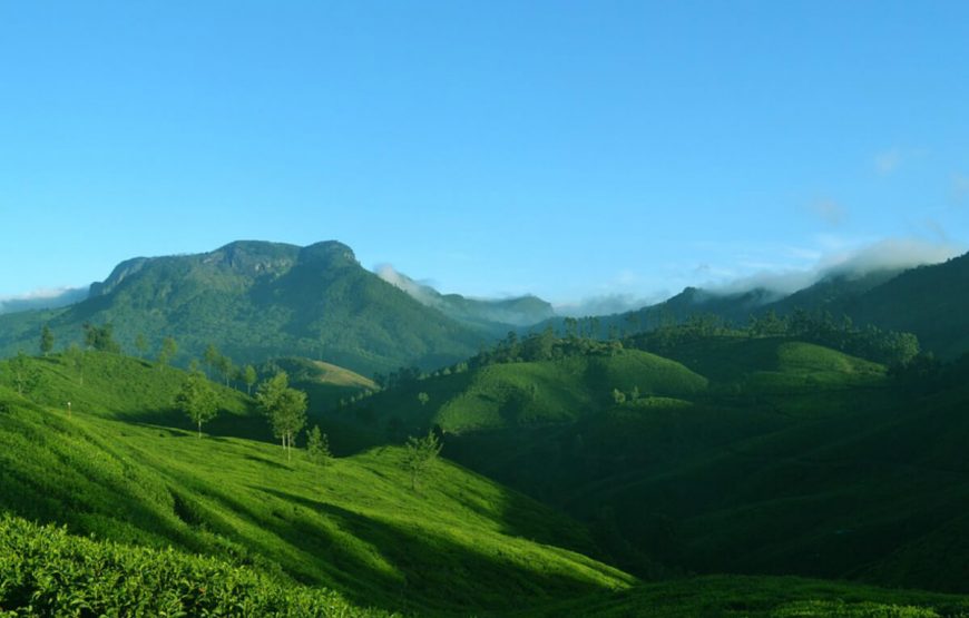 Munnar honeymoon packages