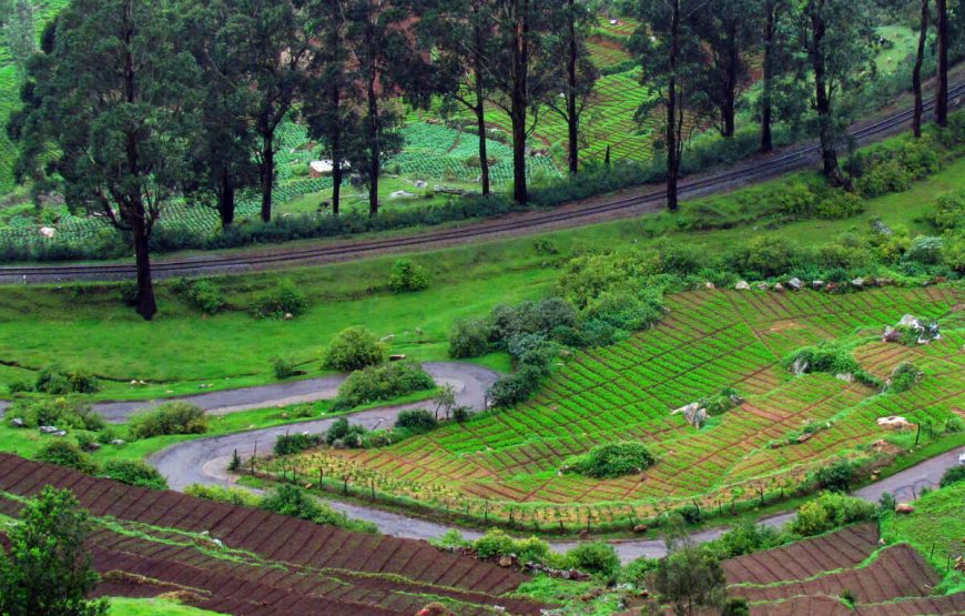 Ooty Agriculture Green Mountain Nature Railway