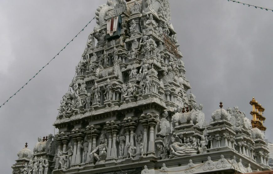Parthasarathy Temple chennai
