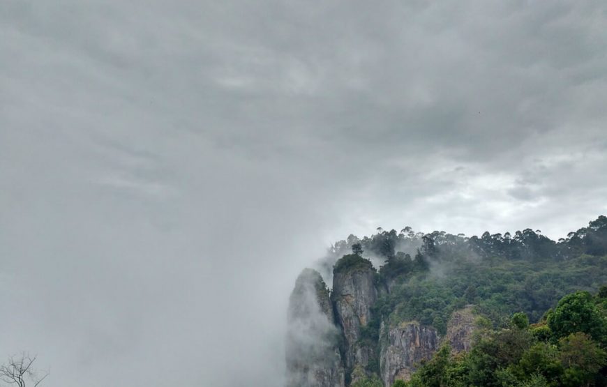 Pillar Rocks Kodaikanal tour packages