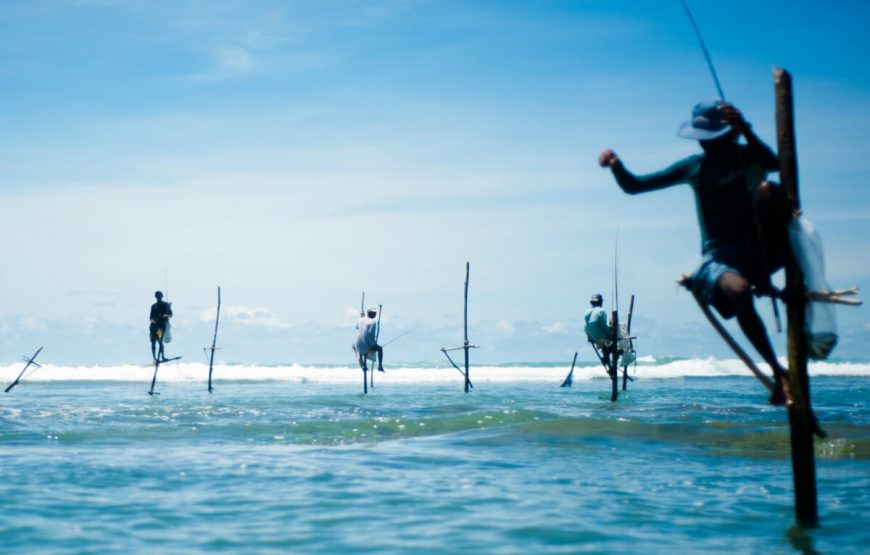 Stick fishermen of Sri Lanka