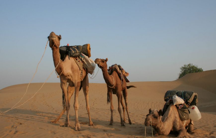 Thar Desert Rajasthan