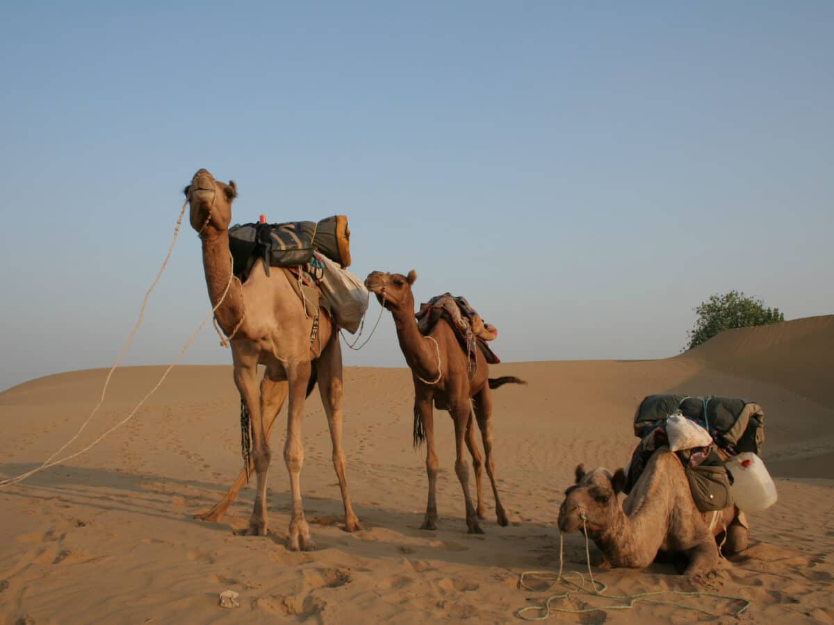GT Holidays Rajasthan holiday package with Thar Desert experience