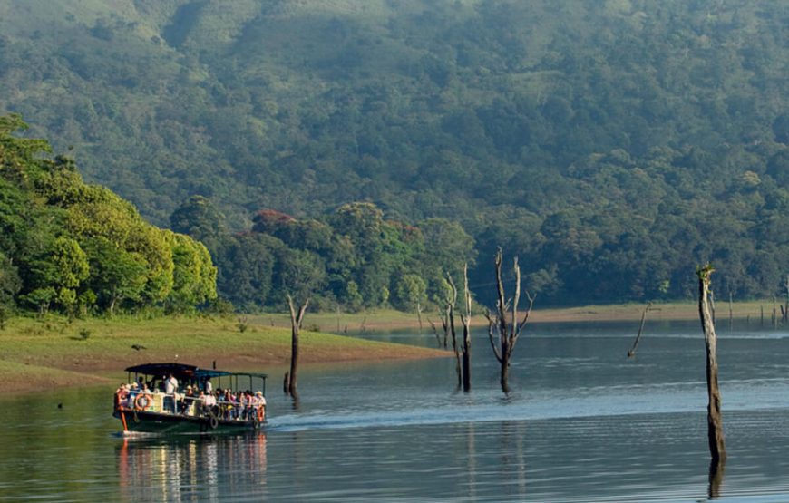 Thekkady tour packages