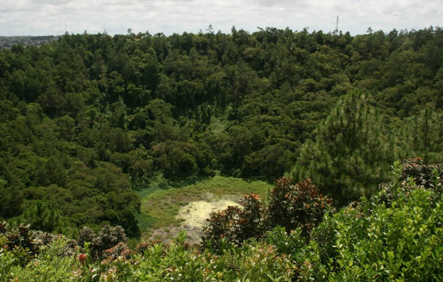 Trou aux Cerfs Volcano tour packages