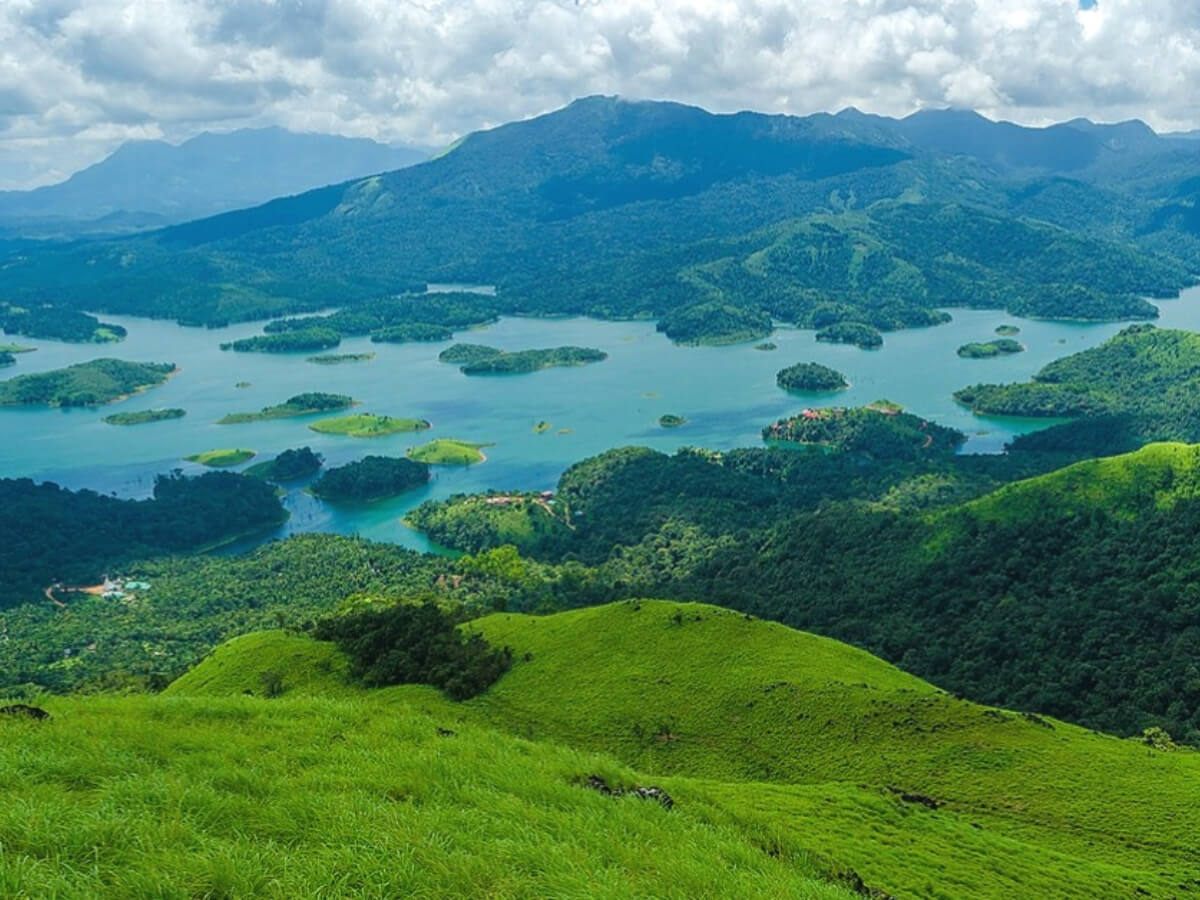 wayanad tour companies