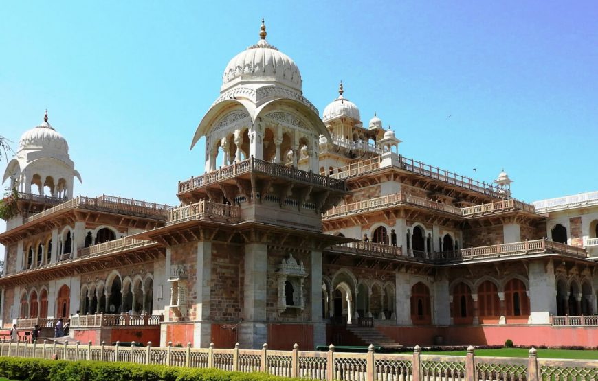 albert hall jaipur