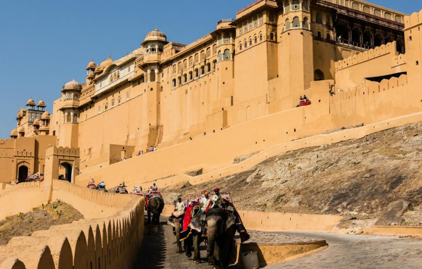 amber fort delhi