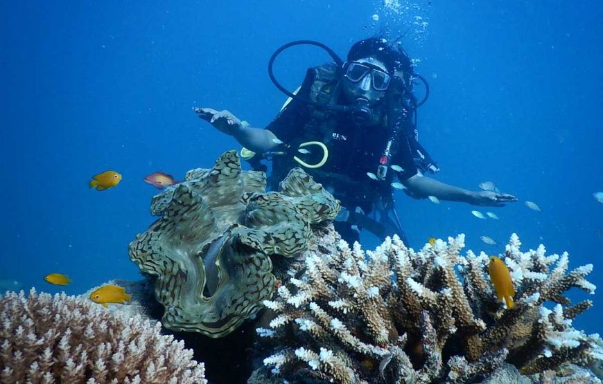 andaman underwater Diving