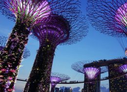 bay of garden singapore