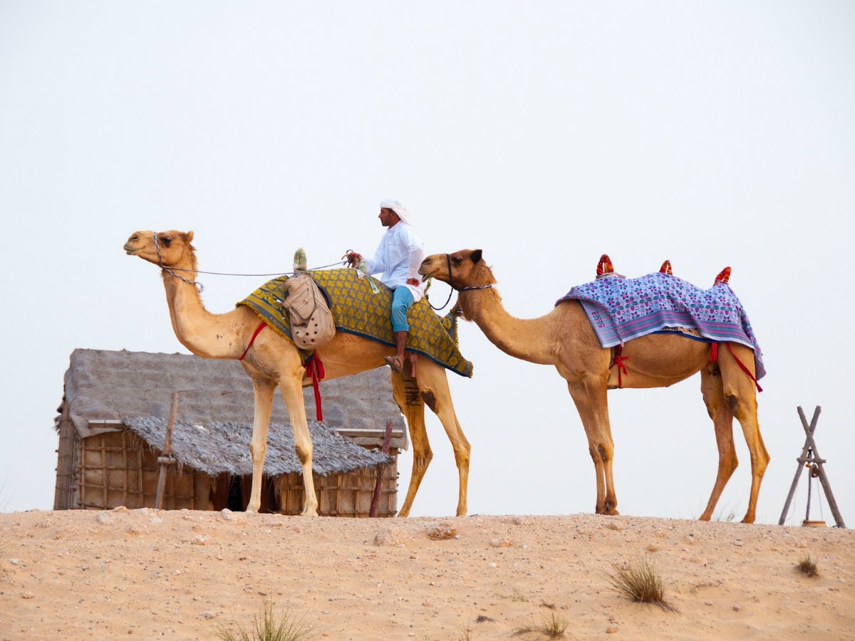 dubai desert