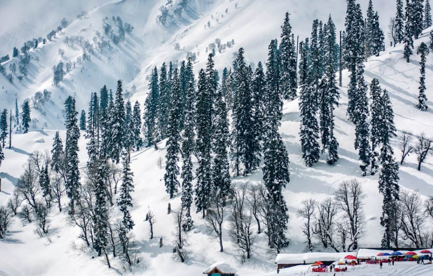 gulmarg honeymoon tour package