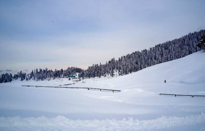 gulmarg tour packages