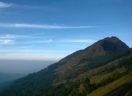 Munnar tea gardens from Kerala holiday package by GT Holidays