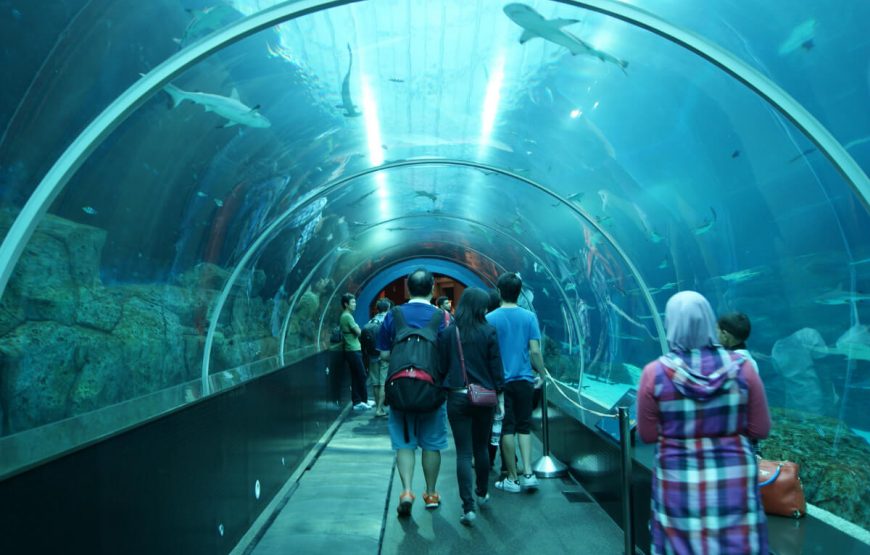 singapore aquarium sentosa