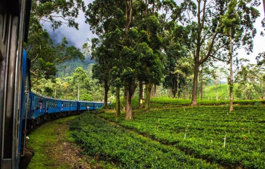 sri lanka nuwara eliya