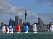 auckland tour packages