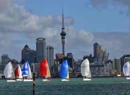 auckland tour packages