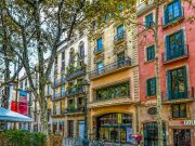 Barcelona Spain Facade Tree