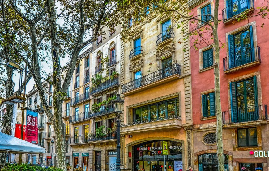 Barcelona Spain Facade Tree