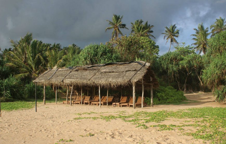 Beach Bentota Sri Lanka