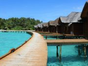 Coco Palm Dhuni Kolhu Resort Maldives