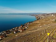 Geneva Lake Vaud Switzerland
