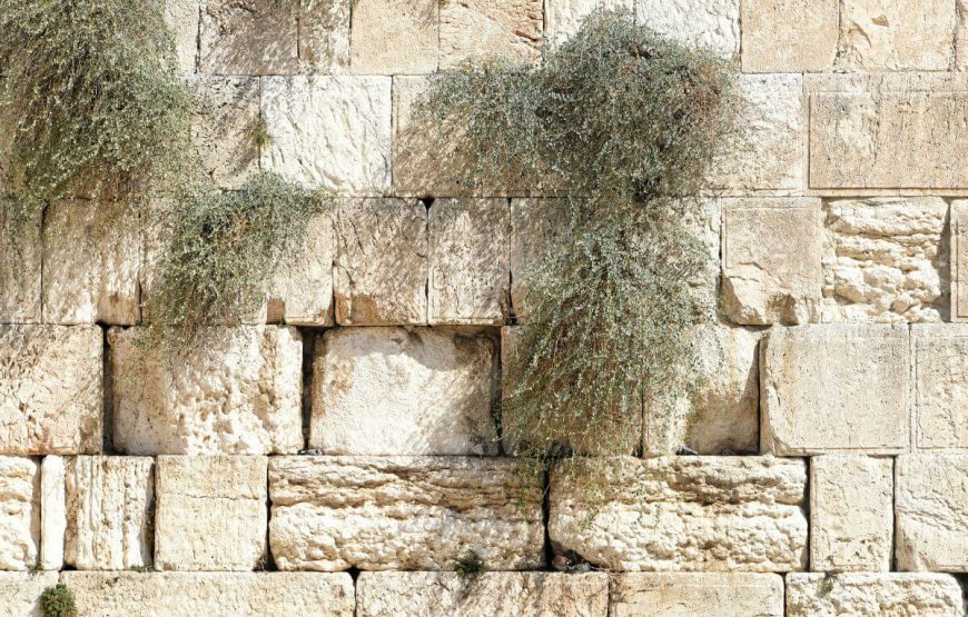 Jerusalem the wailing wall Israel