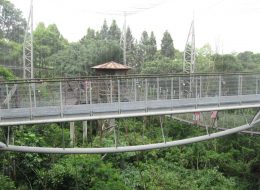 Jurong BirdPark View