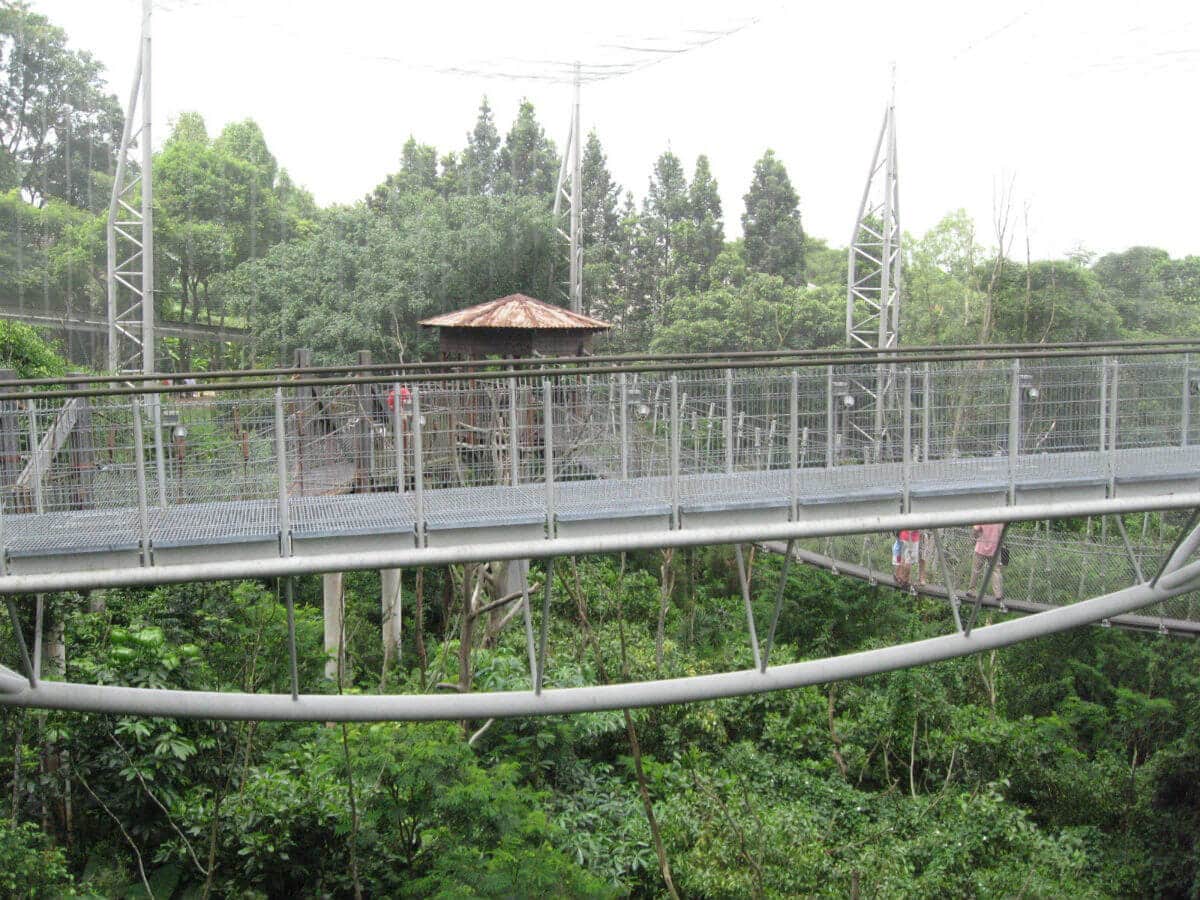 Jurong BirdPark View