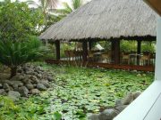 Lagoon resort